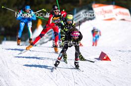 03.03.2012, Lahti, Finland (FIN): Jessica Diggins (USA), Salomon, Swix  - FIS world cup cross-country, skiathlon women, Lahti (FIN). www.nordicfocus.com. Â© Laiho/NordicFocus. Every downloaded picture is fee-liable.