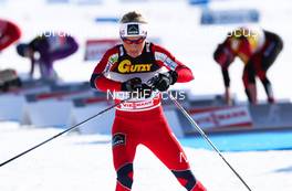 03.03.2012, Lahti, Finland (FIN): Therese Johaug (NOR), Fischer, Swix, Salomon  - FIS world cup cross-country, skiathlon women, Lahti (FIN). www.nordicfocus.com. Â© Laiho/NordicFocus. Every downloaded picture is fee-liable.