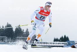29.12.2012, Oberhof, Germany (GER): Calle Halfvarsson (SWE) - FIS world cup cross-country, tour de ski, prologue men, Oberhof (GER). www.nordicfocus.com. © Felgenhauer/NordicFocus. Every downloaded picture is fee-liable.