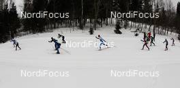 19.02.2012, Tartu, Estonia (EST):  Slower skiers - FIS Marathon Cup Tartumarathon, Tartu (EST). www.nordicfocus.com. Â© Laiho/NordicFocus. Every downloaded picture is fee-liable.