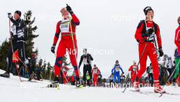 17.03.2012, Rena, Norway (NOR): Slower skiers  - FIS Marathon Cup Birkebeinerrennet, Rena (NOR). www.nordicfocus.com.© Veltheim/NordicFocus. Every downloaded picture is fee-liable.