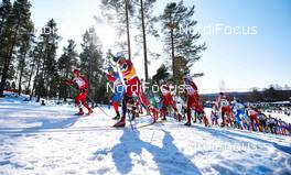 23.03.2013, Falun, Sweden (SWE): the first uphill after the start - FIS world cup cross-country, mass men, Falun (SWE). www.nordicfocus.com. © Felgenhauer/NordicFocus. Every downloaded picture is fee-liable.