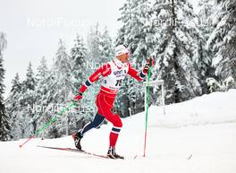 30.11.2013, Kuusamo, Finland (FIN): Oeystein Pettersen (NOR) - FIS world cup cross-country, 10km men, Kuusamo (FIN). www.nordicfocus.com. © Felgenhauer/NordicFocus. Every downloaded picture is fee-liable.