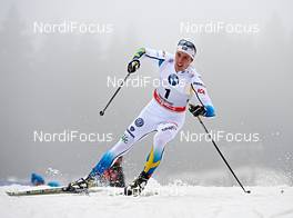 29.12.2013, Oberhof, Germany (GER): Calle Halfvarsson (SWE) - FIS world cup cross-country, tour de ski, individual sprint, Oberhof (GER). www.nordicfocus.com. © Felgenhauer/NordicFocus. Every downloaded picture is fee-liable.