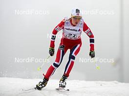 29.12.2013, Oberhof, Germany (GER): Kristin Stoermer Steira (NOR) - FIS world cup cross-country, tour de ski, individual sprint, Oberhof (GER). www.nordicfocus.com. © Felgenhauer/NordicFocus. Every downloaded picture is fee-liable.