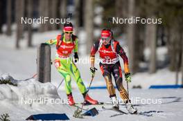09.03.2014, Pokljuka, Slovenia (SLO): Franziska Hildebrand (GER) - IBU world cup biathlon, mass women, Pokljuka (SLO). www.nordicfocus.com. © Manzoni/NordicFocus. Every downloaded picture is fee-liable.