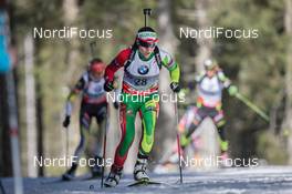 08.03.2014, Pokljuka, Slovenia (SLO): Darya Domracheva (BLR) - IBU world cup biathlon, pursuit women, Pokljuka (SLO). www.nordicfocus.com. © Manzoni/NordicFocus. Every downloaded picture is fee-liable.