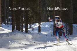 06.03.2014, Pokljuka, Slovenia (SLO): Susan Dunklee (USA) - IBU world cup biathlon, sprint women, Pokljuka (SLO). www.nordicfocus.com. © Manzoni/NordicFocus. Every downloaded picture is fee-liable.