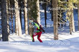 06.03.2014, Pokljuka, Slovenia (SLO): Darya Domracheva (BLR) - IBU world cup biathlon, sprint women, Pokljuka (SLO). www.nordicfocus.com. © Manzoni/NordicFocus. Every downloaded picture is fee-liable.