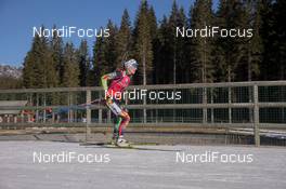 21.12.2014, Pokljuka, Slovenia (SLO): Darya Domracheva (BLR) - IBU world cup biathlon, mass women, Pokljuka (SLO). www.nordicfocus.com. © Manzoni/NordicFocus. Every downloaded picture is fee-liable.