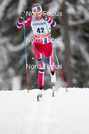 01.02.2014, Toblach, Italy (ITA): Astrid Jacobsen (NOR) - FIS world cup cross-country, 10km women, Toblach (ITA). www.nordicfocus.com. © Manzoni/NordicFocus. Every downloaded picture is fee-liable.