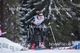02.02.2014, Toblach, Italy (ITA): Laurien van der Graaff (SUI) - FIS world cup cross-country, individual sprint, Toblach (ITA). www.nordicfocus.com. © Manzoni/NordicFocus. Every downloaded picture is fee-liable.