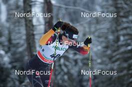02.02.2014, Toblach, Italy (ITA): Elisabeth Schicho (GER) - FIS world cup cross-country, individual sprint, Toblach (ITA). www.nordicfocus.com. © Manzoni/NordicFocus. Every downloaded picture is fee-liable.