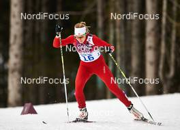 11.02.2014, Sochi, Russia (RUS): Laurien Van Der Graaff (SUI) - XXII. Olympic Winter Games Sochi 2014, cross-country, individual sprint, Sochi (RUS). www.nordicfocus.com. © NordicFocus. Every downloaded picture is fee-liable.