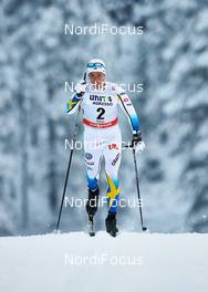 29.11.2014, Ruka, Finland (FIN): Calle Halfvarsson (SWE) - FIS world cup cross-country, individual sprint, Ruka (FIN). www.nordicfocus.com. © Felgenhauer/NordicFocus. Every downloaded picture is fee-liable.