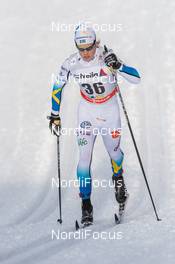 13.12.2014, Davos, Switzerland (SUI): Lars Nelson (SWE)  - FIS world cup cross-country, 15km men, Davos (SUI). www.nordicfocus.com. © Rauschendorfer/NordicFocus. Every downloaded picture is fee-liable.