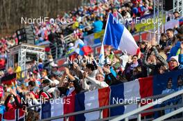 20.02.2014, Sochi, Russia (RUS): spectators at the stadium - XXII. Olympic Winter Games Sochi 2014, nordic combined, team HS140/4x5km, Sochi (RUS). www.nordicfocus.com. © NordicFocus. Every downloaded picture is fee-liable.