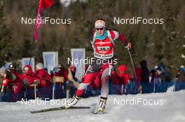 25.01.2015, Antholz, Italy (ITA): Katharina Innerhofer (AUT) - IBU world cup biathlon, relay women, Antholz (ITA). www.nordicfocus.com. © Manzoni/NordicFocus. Every downloaded picture is fee-liable.