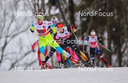 18.01.2015, Otepaeae, Estland (EST): Alenka Cebasek (SLO), Fischer, One Way, Alpina, Rottefella  - FIS world cup cross-country, team sprint, Otepaeae (EST). www.nordicfocus.com. © Laiho/NordicFocus. Every downloaded picture is fee-liable.