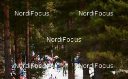 26.02.2015, Falun, Sweden (SWE): women in the woody uphill - FIS nordic world ski championships, cross-country, 4x5km women, Falun (SWE). www.nordicfocus.com. © NordicFocus. Every downloaded picture is fee-liable.