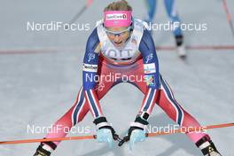28.11.2015, Ruka, Finland (FIN): Therese Johaug (NOR) - FIS world cup cross-country, 5km women, Ruka (FIN). www.nordicfocus.com. © Modica/NordicFocus. Every downloaded picture is fee-liable.