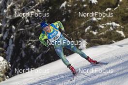 22.01.2016, Antholz, Italy (ITA): Thorstein Stenersen (SWE) -  IBU world cup biathlon, sprint men, Antholz (ITA). www.nordicfocus.com. © Manzoni/NordicFocus. Every downloaded picture is fee-liable.