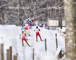 14.02.2016, Falun, Sweden (SWE): behind the fence?   - FIS world cup cross-country, mass men, Falun (SWE). www.nordicfocus.com. © Felgenhauer/NordicFocus. Every downloaded picture is fee-liable.