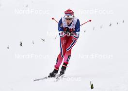 14.02.2016, Falun, Sweden (SWE): Astrid Uhrenholdt Jacobsen (NOR) - FIS world cup cross-country, mass women, Falun (SWE). www.nordicfocus.com. © Felgenhauer/NordicFocus. Every downloaded picture is fee-liable.