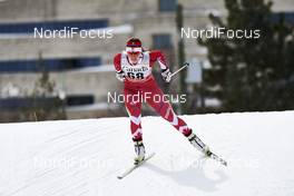 01.03.2016, Gatineau, Canada (CAN): Katherine Stewart-Jones (CAN) - FIS world cup cross-country, individual sprint, Gatineau (CAN). www.nordicfocus.com. © Felgenhauer/NordicFocus. Every downloaded picture is fee-liable.
