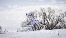 01.03.2016, Gatineau, Canada (CAN): Anna Haag (SWE)   - FIS world cup cross-country, individual sprint, Gatineau (CAN). www.nordicfocus.com. © Felgenhauer/NordicFocus. Every downloaded picture is fee-liable.