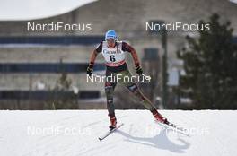 01.03.2016, Gatineau, Canada (CAN): Nicole Fessel (GER) - FIS world cup cross-country, individual sprint, Gatineau (CAN). www.nordicfocus.com. © Felgenhauer/NordicFocus. Every downloaded picture is fee-liable.