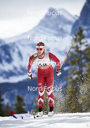 08.03.2016, Canmore, Canada (CAN): Cendrine Browne (CAN) - FIS world cup cross-country, individual sprint, Canmore (CAN). www.nordicfocus.com. © Felgenhauer/NordicFocus. Every downloaded picture is fee-liable.