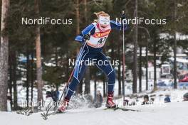 28.01.2017, Falun Sweden (SWE): Clara Auland (SWE) - FIS world cup cross-country, individual sprint, Falun (SWE). www.nordicfocus.com. © Modica/NordicFocus. Every downloaded picture is fee-liable.