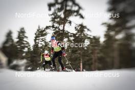 27.01.2017, Falun Sweden (SWE): Krista Parmakoski (FIN) - FIS world cup cross-country, training, Falun (SWE). www.nordicfocus.com. © Modica/NordicFocus. Every downloaded picture is fee-liable.