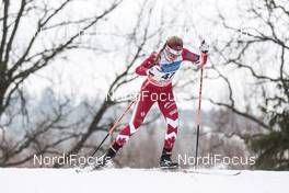 18.02.2017, Otepaeae, Estonia (EST): Cendrine Browne (CAN) - FIS world cup cross-country, individual sprint, Otepaeae (EST). www.nordicfocus.com. © Modica/NordicFocus. Every downloaded picture is fee-liable.