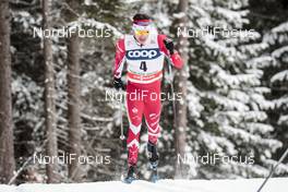 17.12.2017, Toblach, Italy (ITA): Alex Harvey (CAN) - FIS world cup cross-country, pursuit men, Toblach (ITA). www.nordicfocus.com. © Modica/NordicFocus. Every downloaded picture is fee-liable.