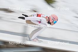 29.01.2017, Willingen, Germany (GER): Dawid Kubacki (POL) - FIS world cup ski jumping, individual HS145, Willingen (GER). www.nordicfocus.com. © Rauschendorfer/NordicFocus. Every downloaded picture is fee-liable.