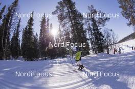 08.04.2017, Levi, Finland (FIN): Event Feature: undefined skier in the forest - Visma Ski Classics Yllaes-Levi, Levi (FIN). www.nordicfocus.com. © Manzoni/NordicFocus. Every downloaded picture is fee-liable.