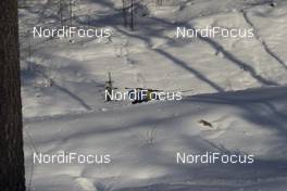 07.03.2018, Kontiolahti, Finland (FIN): Tim Burke (USA) -  IBU world cup biathlon, training, Kontiolahti (FIN). www.nordicfocus.com. © Manzoni/NordicFocus. Every downloaded picture is fee-liable.