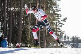 03.03.2018, Lahti, Finland (FIN): Emil Iversen (NOR) - FIS world cup cross-country, individual sprint, Lahti (FIN). www.nordicfocus.com. © Modica/NordicFocus. Every downloaded picture is fee-liable.