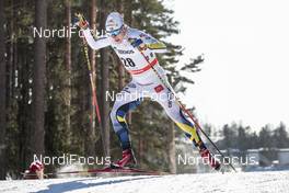 03.03.2018, Lahti, Finland (FIN): Anton Persson (SWE) - FIS world cup cross-country, individual sprint, Lahti (FIN). www.nordicfocus.com. © Modica/NordicFocus. Every downloaded picture is fee-liable.