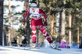 16.03.2018, Falun Sweden (SWE): Emily Nishikawa (CAN) - FIS world cup cross-country, individual sprint, Falun (SWE). www.nordicfocus.com. © Modica/NordicFocus. Every downloaded picture is fee-liable.