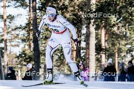 16.03.2018, Falun Sweden (SWE): Jennie Oeberg (SWE) - FIS world cup cross-country, individual sprint, Falun (SWE). www.nordicfocus.com. © Modica/NordicFocus. Every downloaded picture is fee-liable.