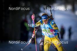 18.02.2021, Pokljuka, Slovenia (SLO): Hanna Oeberg (SWE) - IBU World Championships Biathlon, single mixed relay, Pokljuka (SLO). www.nordicfocus.com. © Thibaut/NordicFocus. Every downloaded picture is fee-liable.