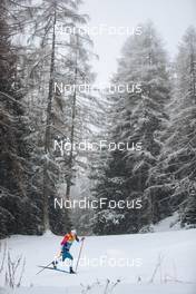 29.12.2021, Lenzerheide, Switzerland (SUI): Andrew Musgrave (GBR) - FIS world cup cross-country, tour de ski, 15km men, Lenzerheide (SUI). www.nordicfocus.com. © Modica/NordicFocus. Every downloaded picture is fee-liable.