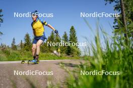 17.06.2023, Lavaze, Italy (ITA): Sebastian Samuelsson (SWE) - Biathlon summer training, Lavaze (ITA). www.nordicfocus.com. © Barbieri/NordicFocus. Every downloaded picture is fee-liable.