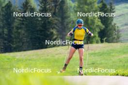 08.06.2023, Lavaze, Italy (ITA): Stina Nilsson (SWE) - Biathlon summer training, Lavaze (ITA). www.nordicfocus.com. © Barbieri/NordicFocus. Every downloaded picture is fee-liable.