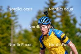 17.06.2023, Lavaze, Italy (ITA): Sebastian Samuelsson (SWE) - Biathlon summer training, Lavaze (ITA). www.nordicfocus.com. © Barbieri/NordicFocus. Every downloaded picture is fee-liable.