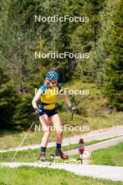 08.06.2023, Lavaze, Italy (ITA): Stina Nilsson (SWE) - Biathlon summer training, Lavaze (ITA). www.nordicfocus.com. © Barbieri/NordicFocus. Every downloaded picture is fee-liable.