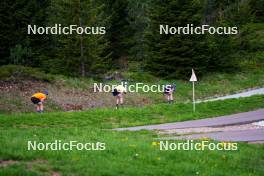 11.06.2023, Lavaze, Italy (ITA): Jesper Nelin (SWE), Martin Ponsiluoma (SWE), Sebastian Samuelsson (SWE), (l-r)  - Biathlon summer training, Lavaze (ITA). www.nordicfocus.com. © Barbieri/NordicFocus. Every downloaded picture is fee-liable.